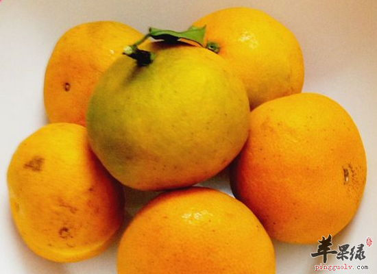 橘子皮有哪些药用作用和选方
