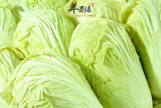 白菜肉卷的制做方法是怎样的呢