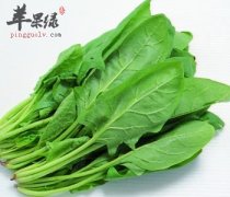 菠菜可以和鸡蛋一起
