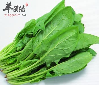 菠菜可以和鸡蛋一起吃吗 这样吃更美味