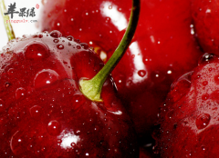 櫻桃的食療功效和做法分析