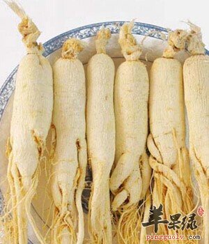 人参的功效与作用 能够补足气血