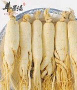 产妇可以吃人参吗 搭配鸡汤更健康