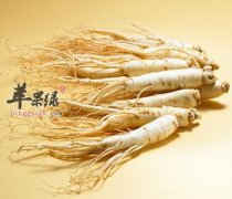 这些人不适合吃人参 注意这些服用禁忌