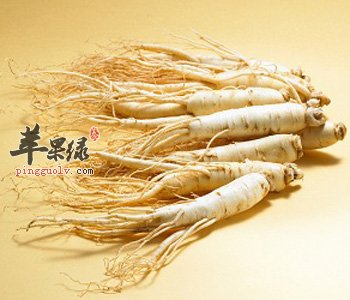 这些人不适合吃人参 注意这些服用禁忌