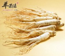 人参能够滋补身体 如何进补更有效