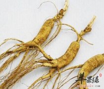 患这些疾病的人群慎用人参进补