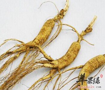 选人参进补注意 患这些疾病的人群慎吃