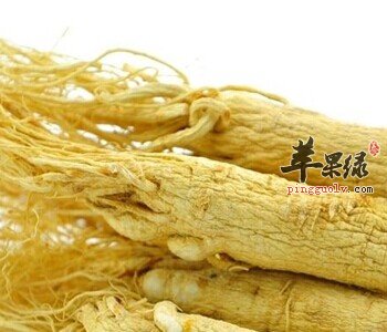 人参可以生吃吗 生吃人参要注意什么