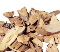 当归适合泡水喝 这些副作用要小心