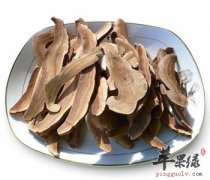女性吃当归能增强身体免疫力