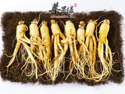 人参能滋补身体 推荐人参的美味吃法