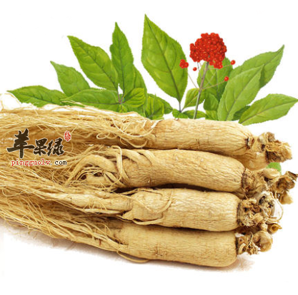 选人参进补注意 患这些疾病的人群慎吃
