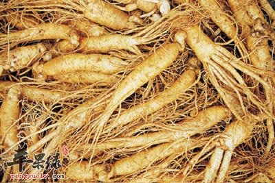 吃人参可以壮阳吗 怎么吃人参有这种效果