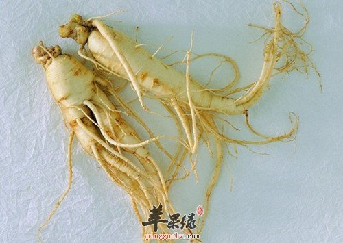 食用人参能够滋补身体 吃人参的误区有哪些