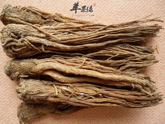 女性吃当归的好处多 能够补血美容养颜