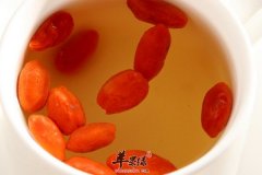 枸杞和菊花泡茶的方法以及功效