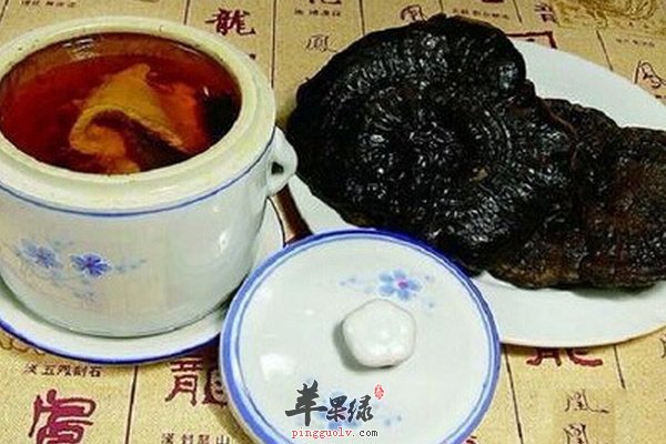 灵芝饮食篇 灵芝的吃法有哪些