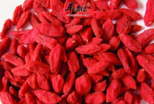 枸杞子平时该怎样吃更保健身体