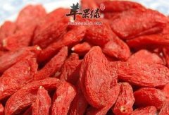 枸杞补肾的几种吃法 男女不要错过