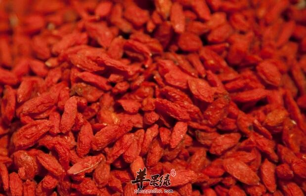 饮食禁忌 吃枸杞需注意哪些事项