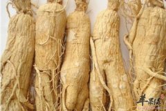人参虽大补 但你真的能补身吗
