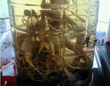 人参泡酒——养心安神生津止渴