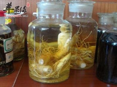 人参泡酒——养心安神生津止渴