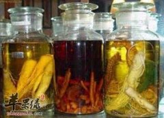 人参泡酒可以养心安神生津止渴