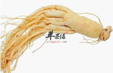 警惕 人参并不是所有的人都可以食用