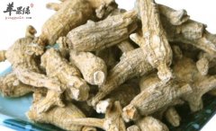 人参食用方法主要有哪些呢