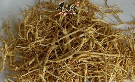 人参更适合什么人食用
