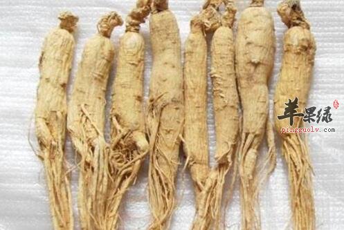 人参更适合什么人食用