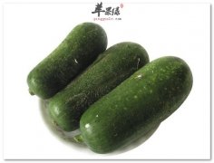 节瓜适合哪些人吃 食