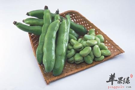 蚕豆美味可口 吃蚕豆要注意这些