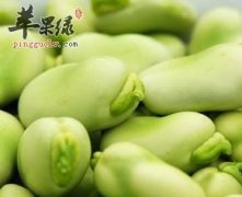 蚕豆竟有这神奇功效