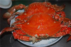梭子蟹怎么吃 食用方