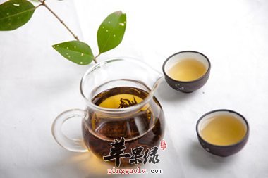 身體溼氣重怎麼辦 喝這些茶來養生