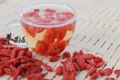 枸杞能够补肾壮阳 推荐这样吃更美味