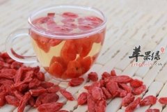 枸杞美味又营养 一年四季都适合吃