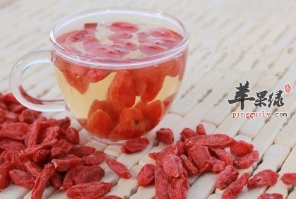 枸杞美味又营养 一年四季都适合吃