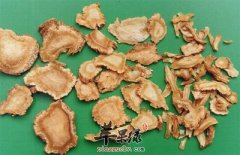 当归的挑选方法有哪些呢