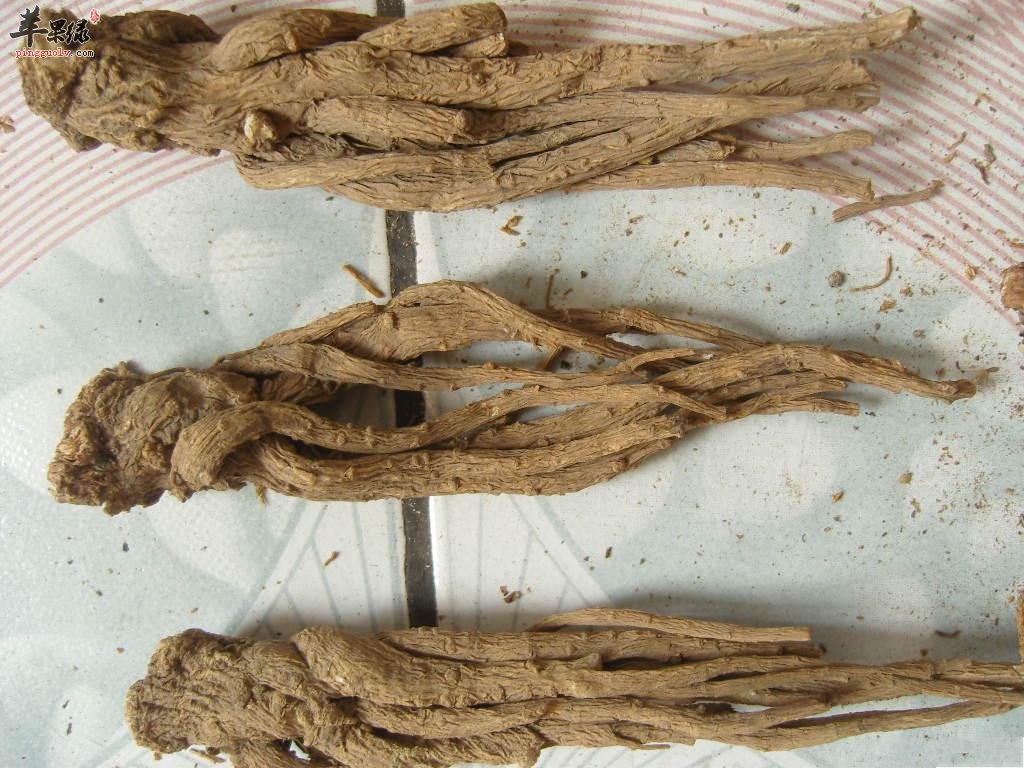 当归既能补血活血还能美容