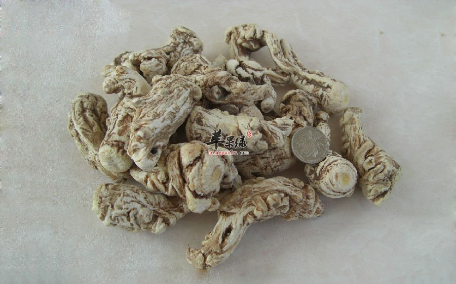 女性朋友们在经期能不能吃当归呢