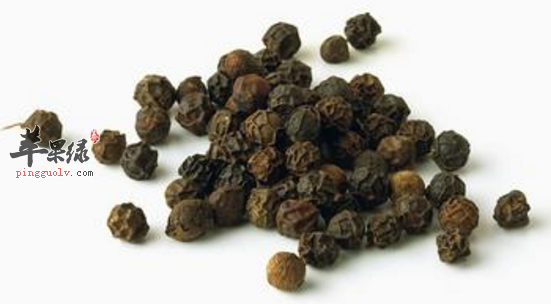 胡椒的功效与作用_胡椒的用法用量及食用禁忌_胡椒的附方_苹果绿