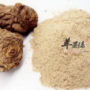 当归磨成粉副作用有哪些
