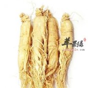 如何辨别正品人参和伪品人参