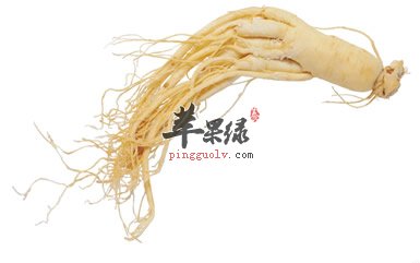 生活中服用人参的方法有哪些呢