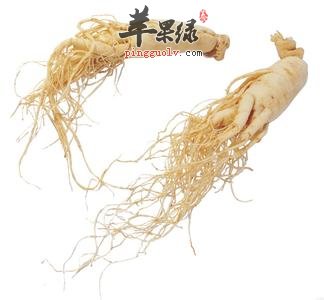 服用人参的禁忌有哪些呢
