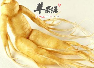 人参有很好的美容和提高免疫力的功效